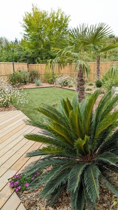 Les Suites Du Payre - Suite Passion Talmont-Saint-Hilaire Luaran gambar